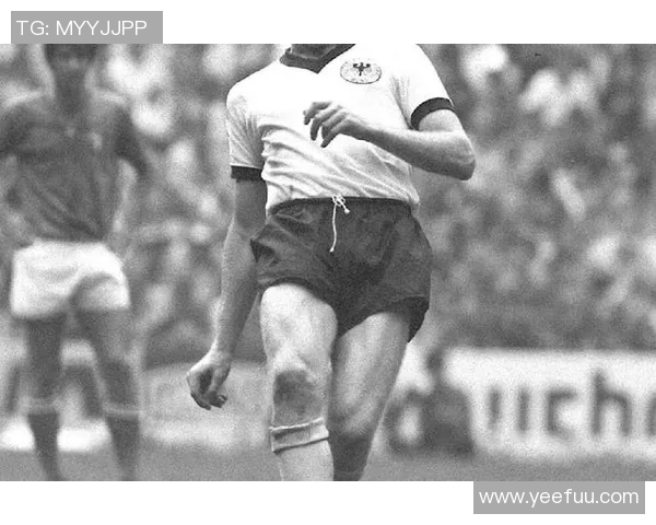 173足球球星崛起之路 从少年天才到国际赛场的顶尖巨星