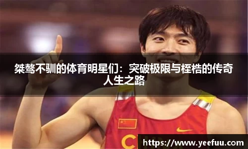 米乐YY易游