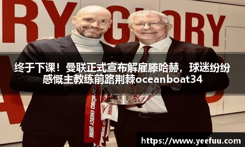 yy易游